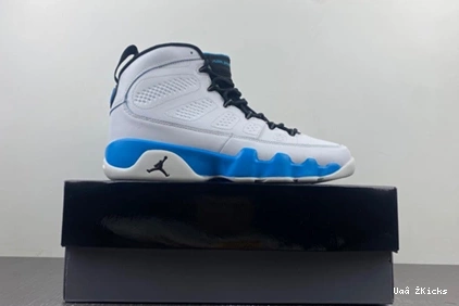 “Powder 654 Air Blue 1730 WellDesigned Jordan FQ8992- 9 0622